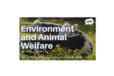 Environment and Animal Welfare